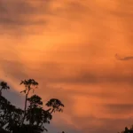 Air Scrubbers Essential as Saharan Dust Hits U.S.