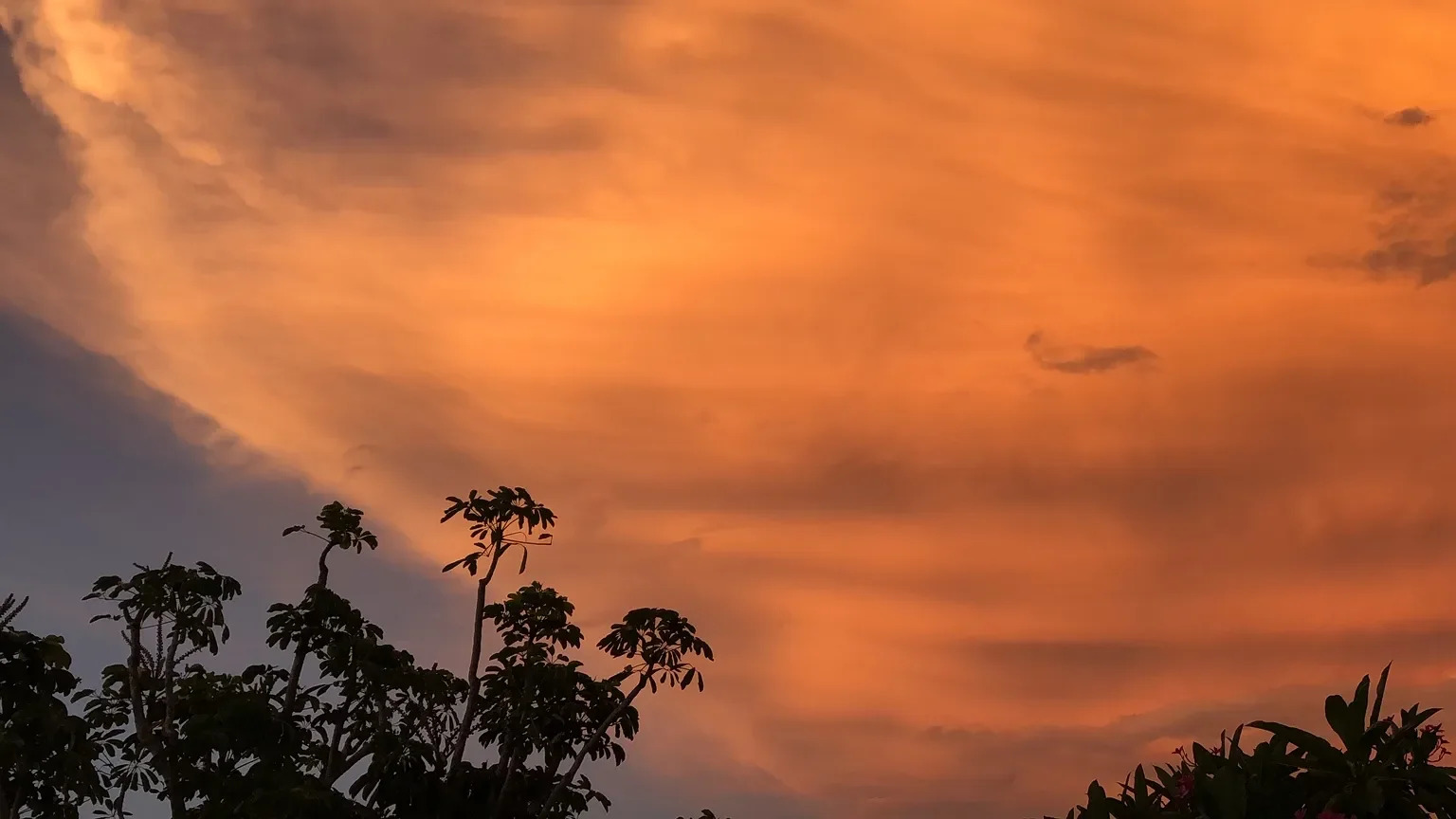 Saharan Dust Florida