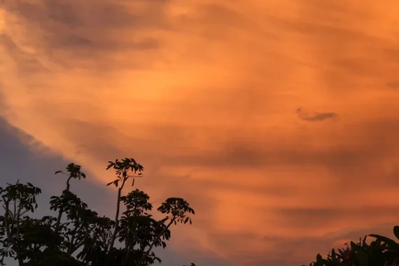 Saharan Dust Florida
