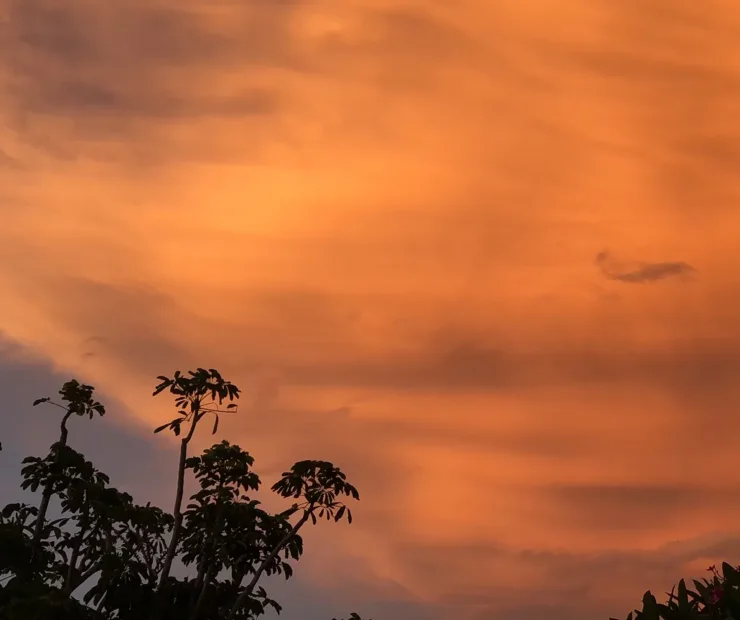 Saharan Dust Florida